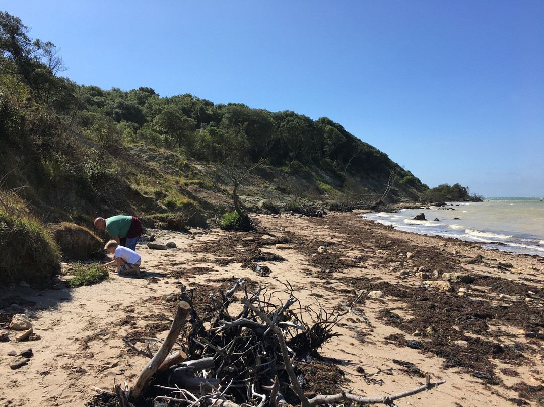 Norton旅游攻略图片