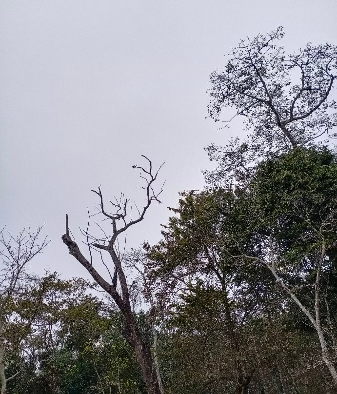 Kohora旅游攻略图片