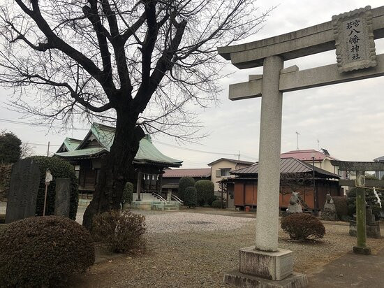 Wakamiya Hachiman Shrine景点图片