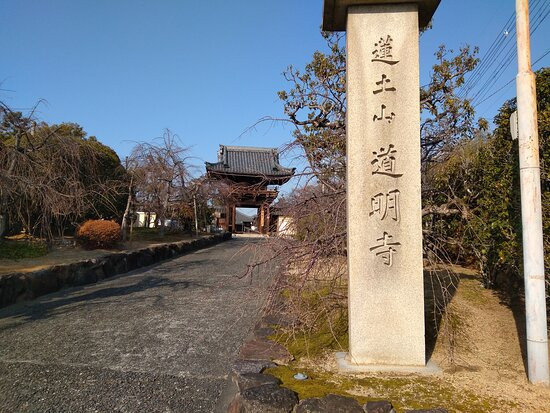 Domyoji Temple-藤井寺市必去景点