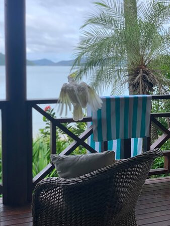 棕榈湾度假酒店-圣灵群岛主图