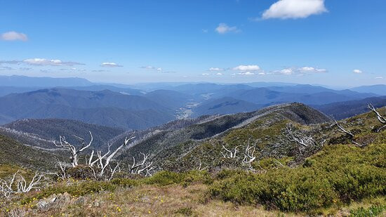 Bungalow Spur Hiking Trail-Harrietville必去景点