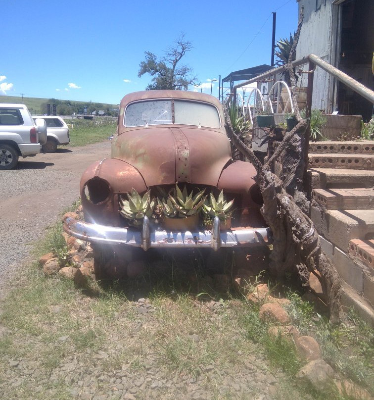 The Platform-豪威克必去景点