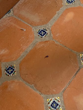 Hotel Real de Piedra主图