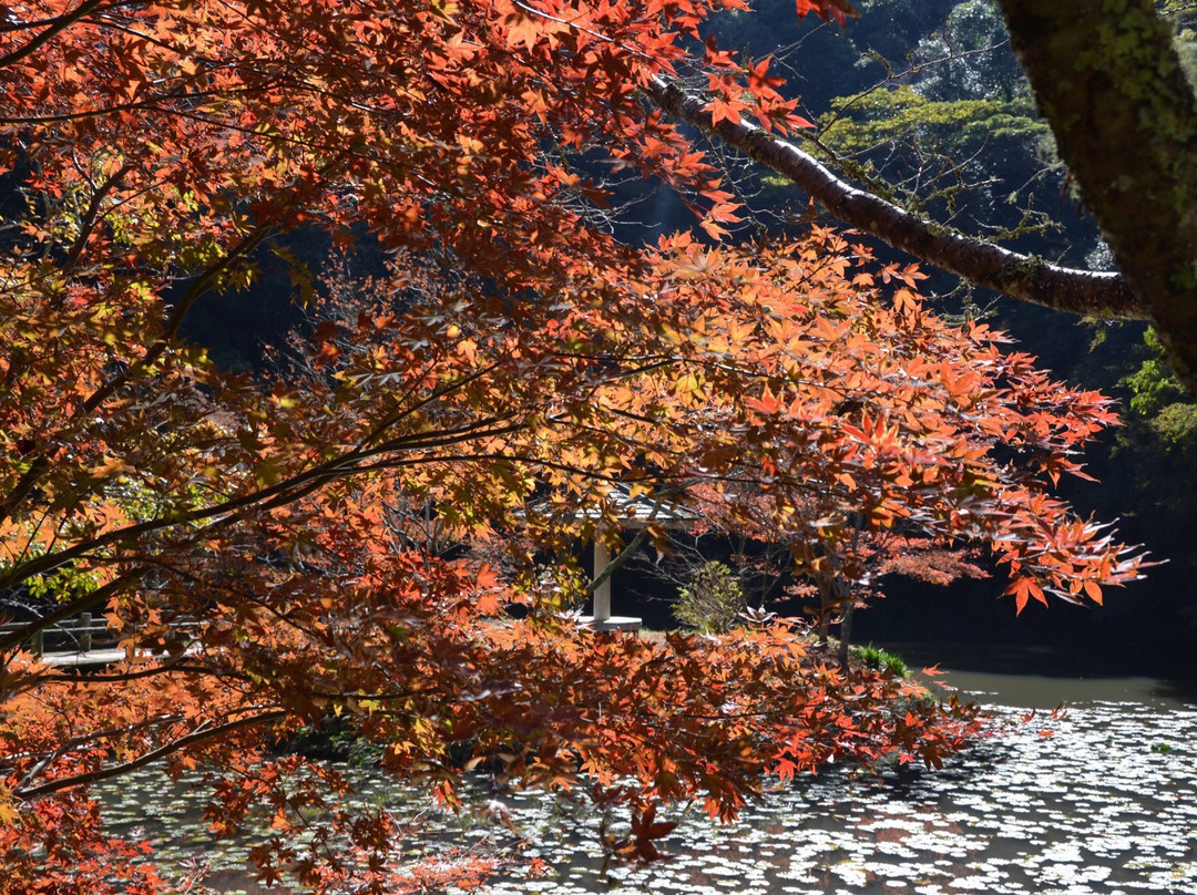 Komatuji Temple景点图片