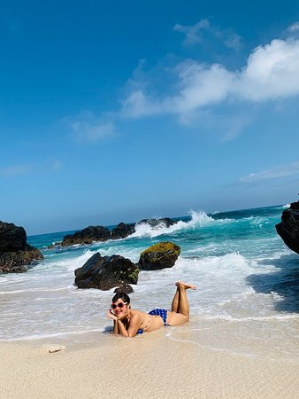 Cat Ba Island Cruises景点图片