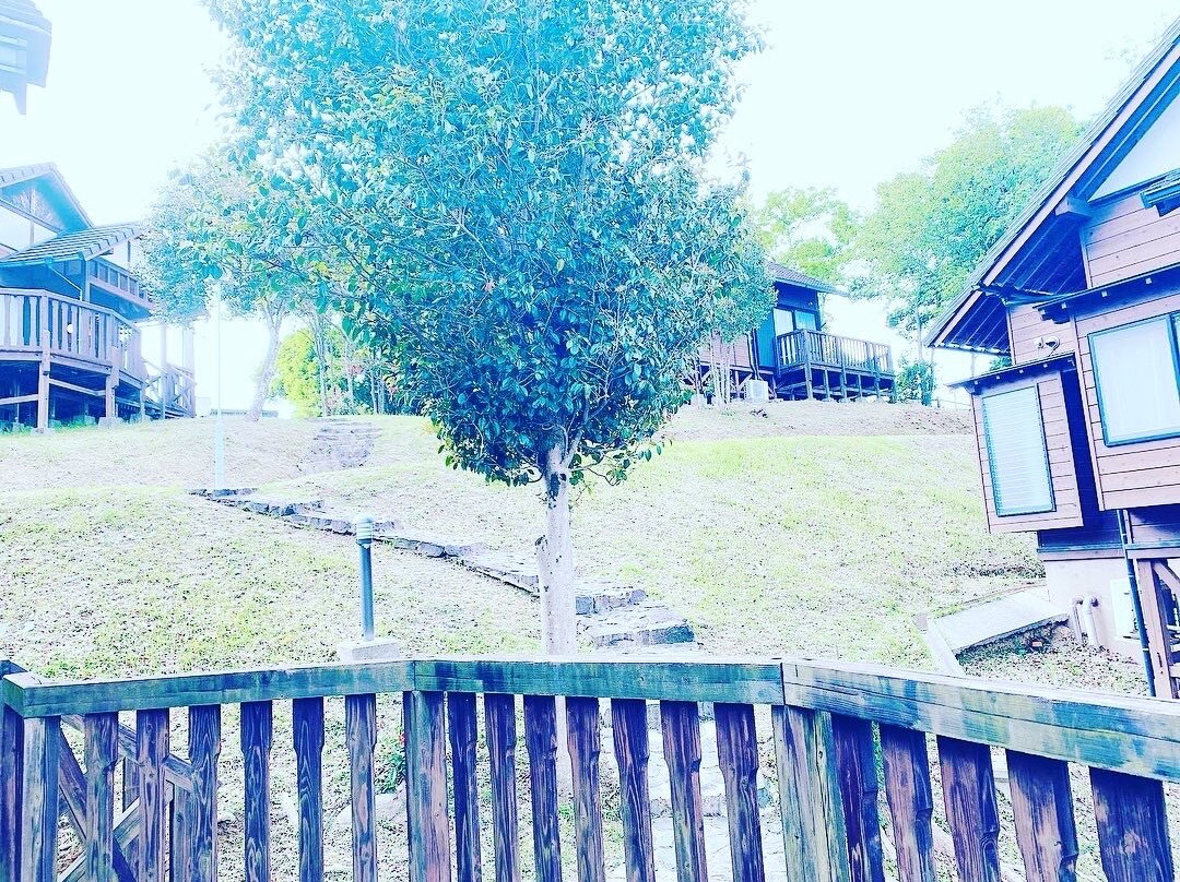 Otachinomisaki Park Campsite-芦北町必去景点