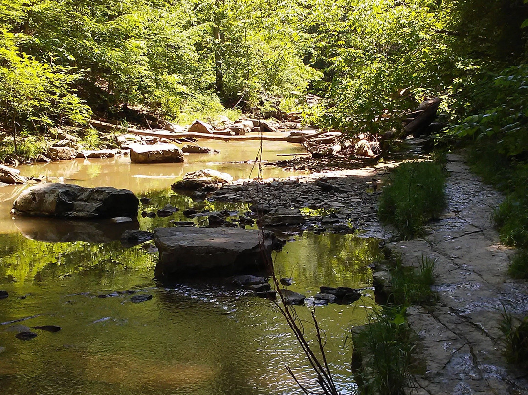 Waveland旅游攻略图片