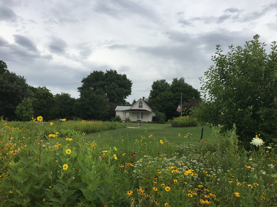 Eldon旅游攻略图片