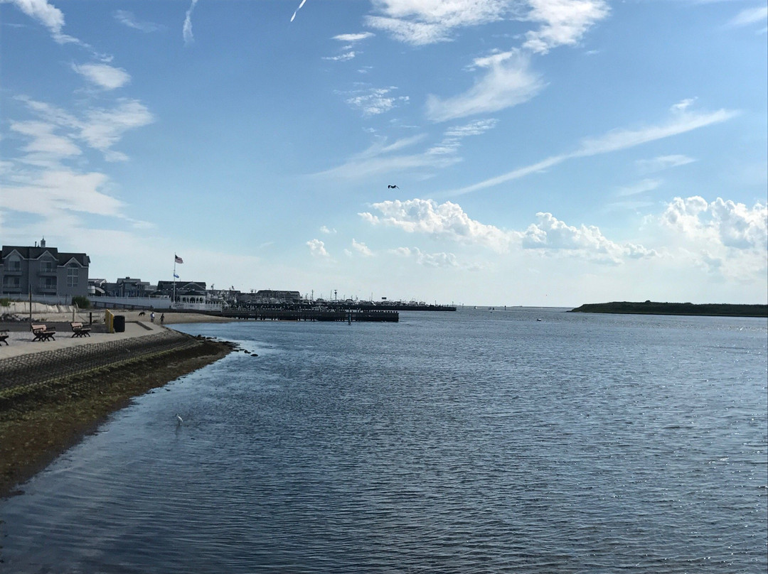 Beach Haven旅游攻略图片