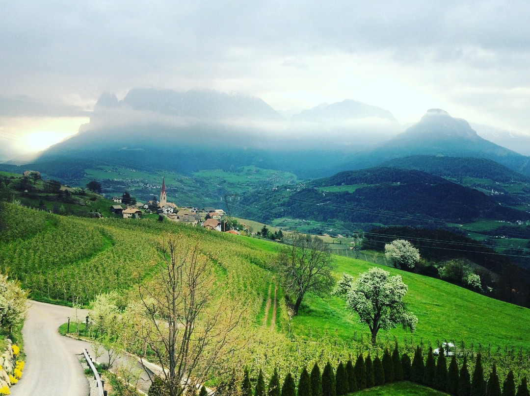 Collepietra酒店住宿-Mitterstiller