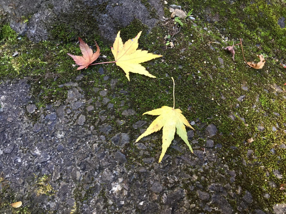 No.32 Fudasho Hannyasan Hosho-ji Temple景点图片