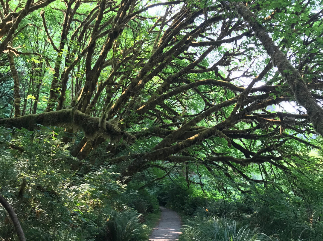 Prairie Creek - Foothill Trail Loop景点图片