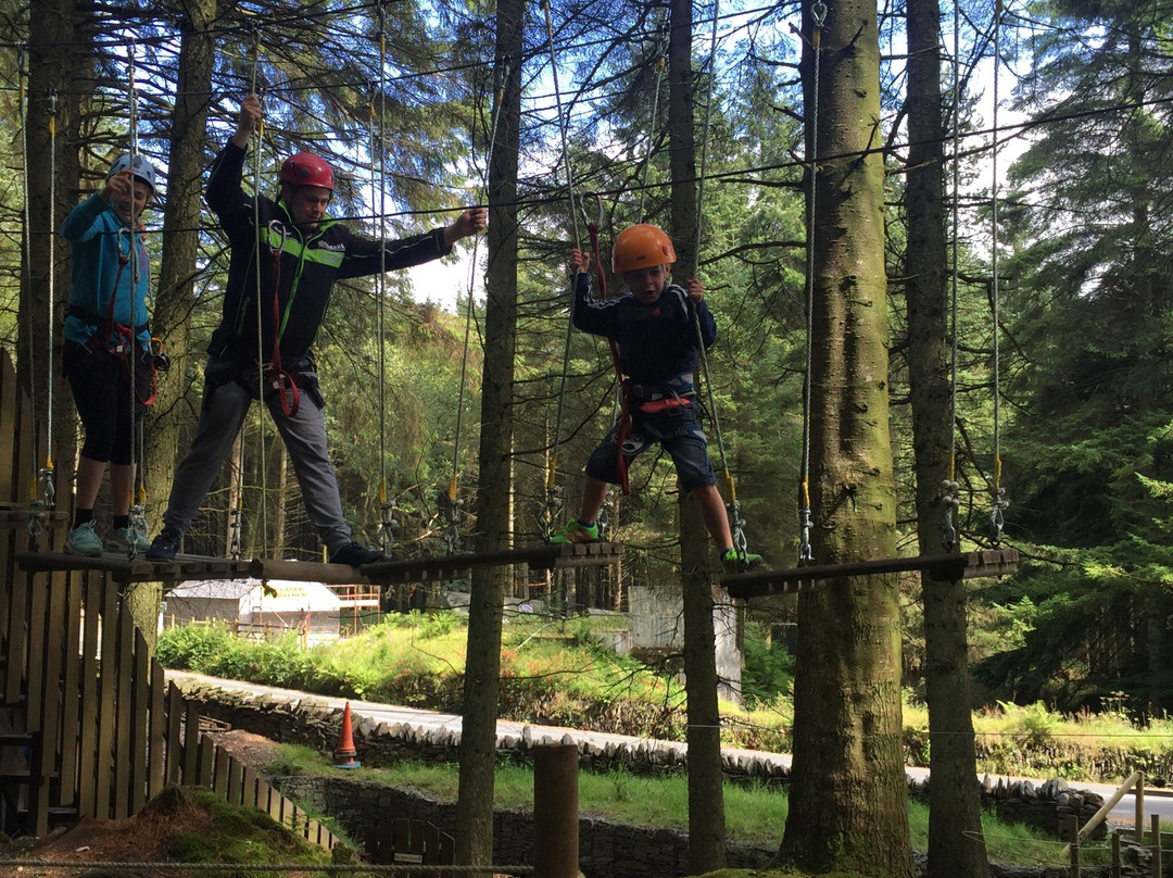 Ape Mann Adventure Park-Foxdale必去景点