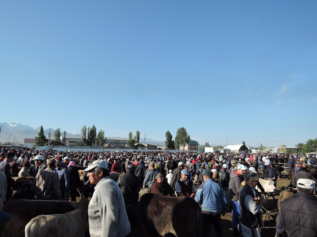 Karakol Cattle Market景点图片