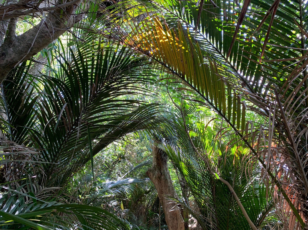 Long Bay Beach-Long Bay必去景点