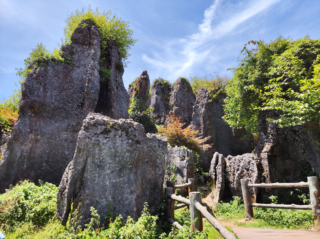 华蓥山旅游区景点图片