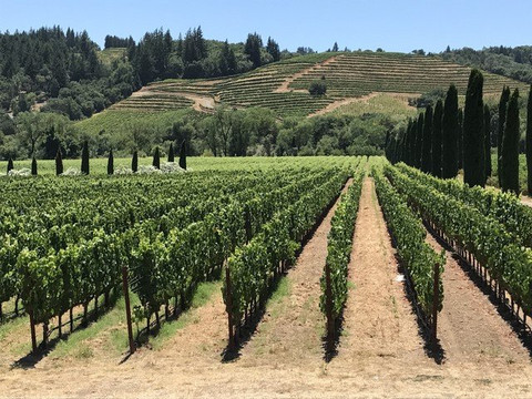 Edge of the World Tours-旧金山必去景点