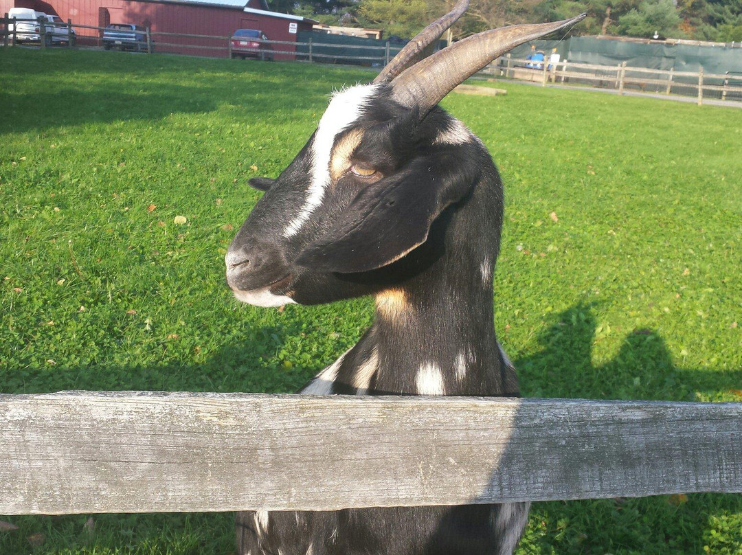 The Farmer's Inn-Sigel必去景点