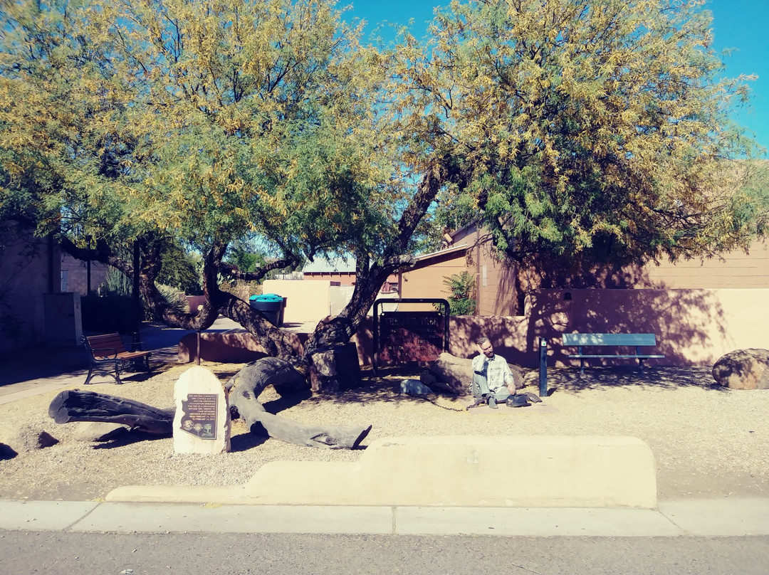 Wickenburg旅游景点-The Jail Tree