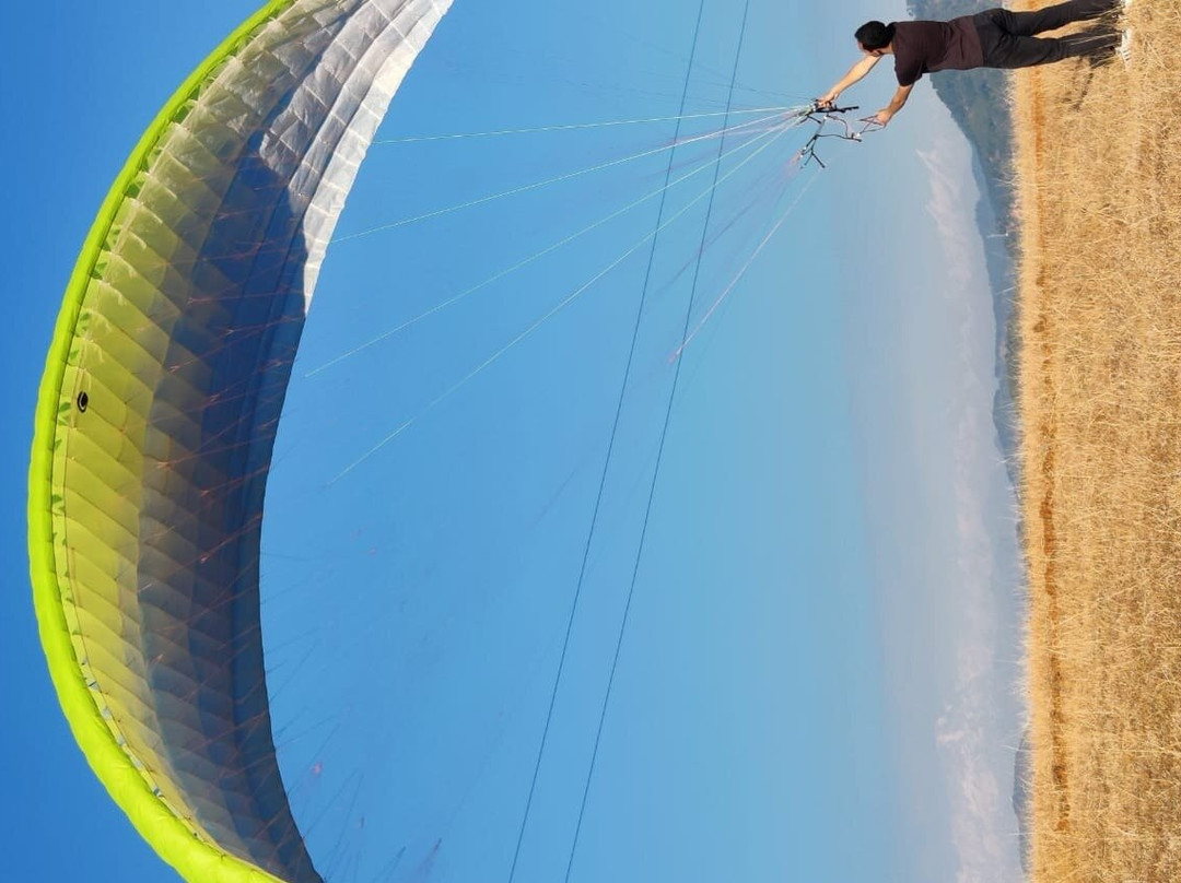 Himalayan Griffon paragliding景点图片