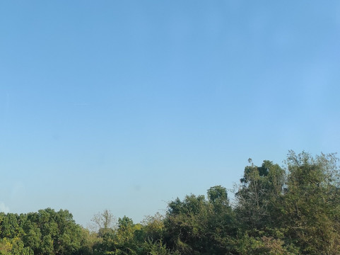 八里湖公园-九江县必去景点