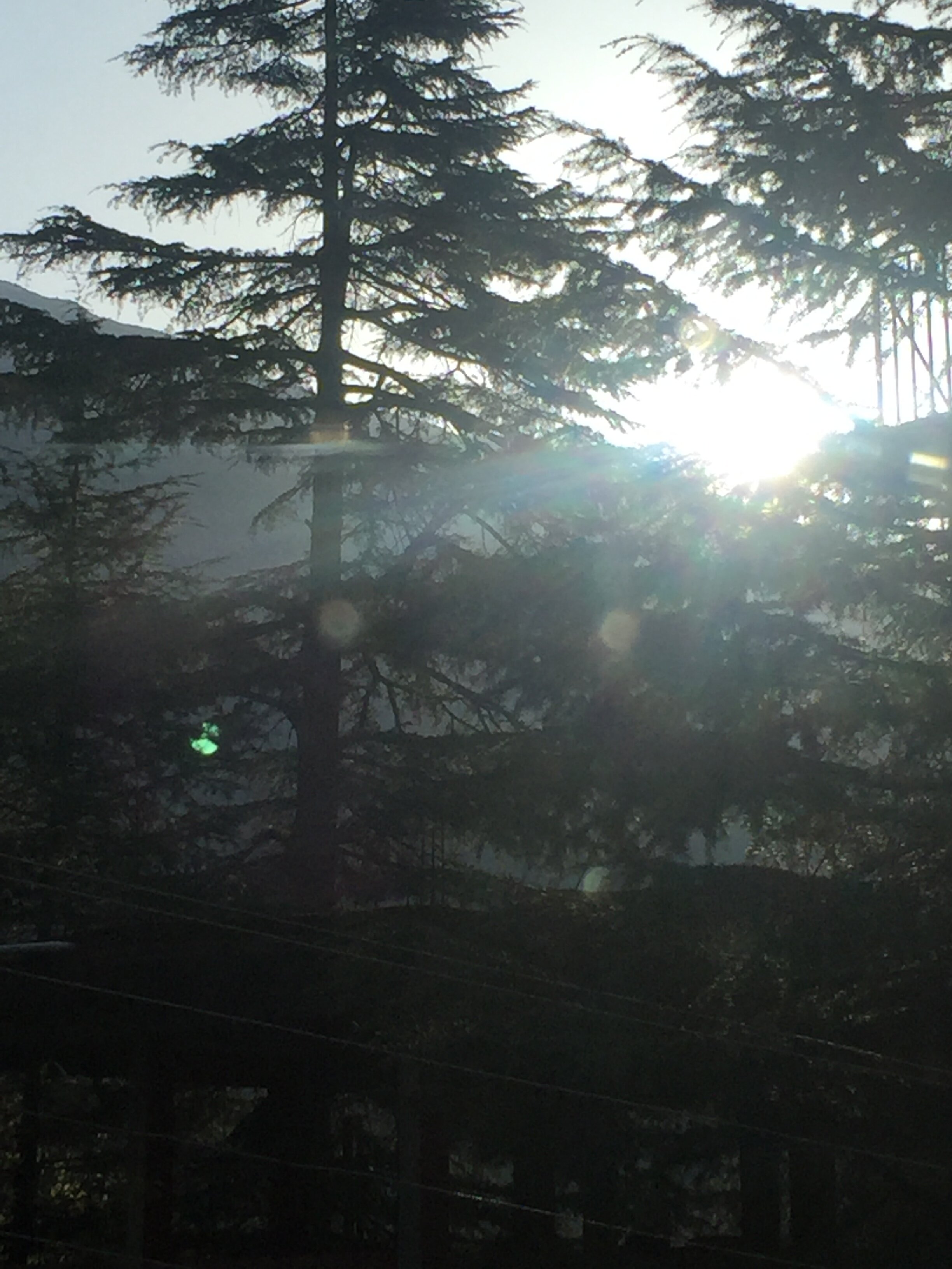 Golden Rock - AM Hotel Kollection-酒店景观