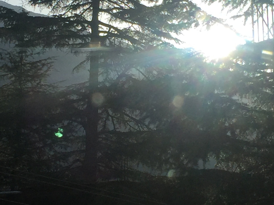 Golden Rock - AM Hotel Kollection主图