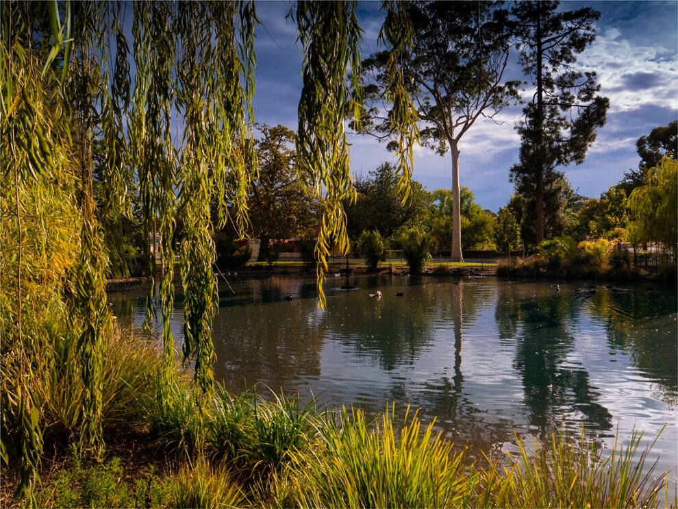 Kings Avenue Motel主图