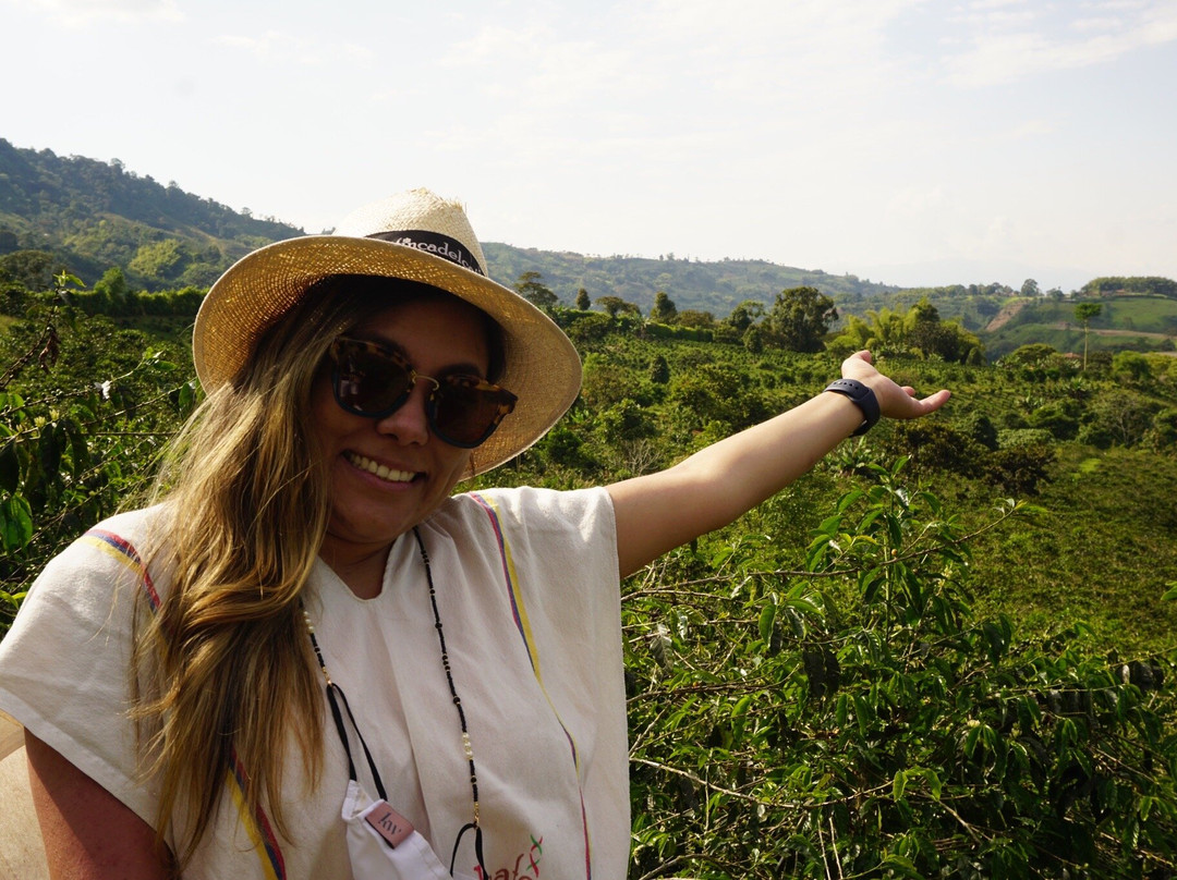 Hotel Finca del Cafe主图