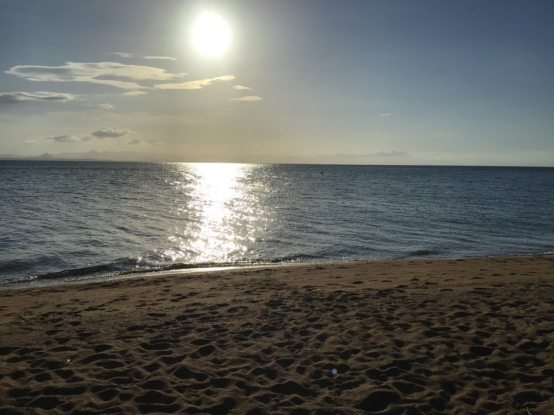 Dandaloo Gardens主图