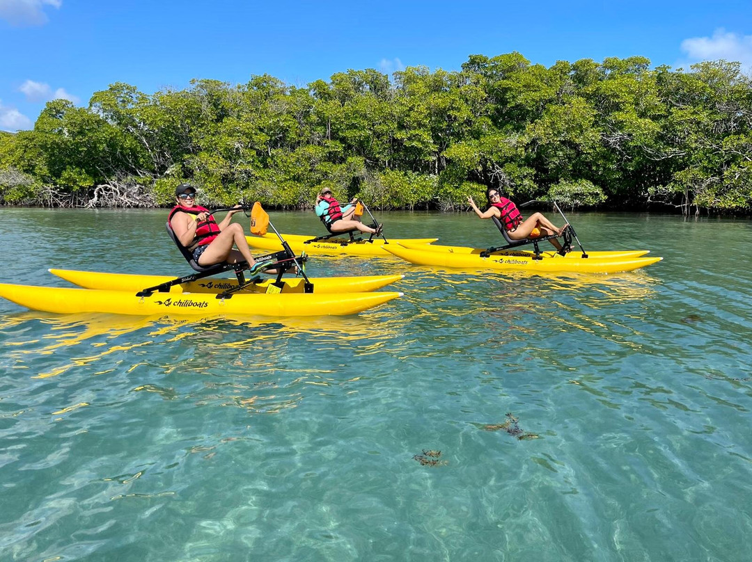 Chiliboats Waterbike Eco-Tour Adventure in La Parguera-La Parguera必去景点