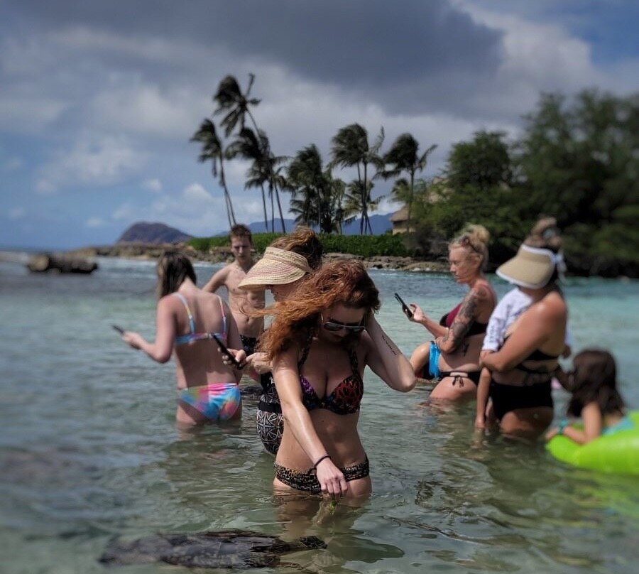 Paradise Cove Beach景点图片