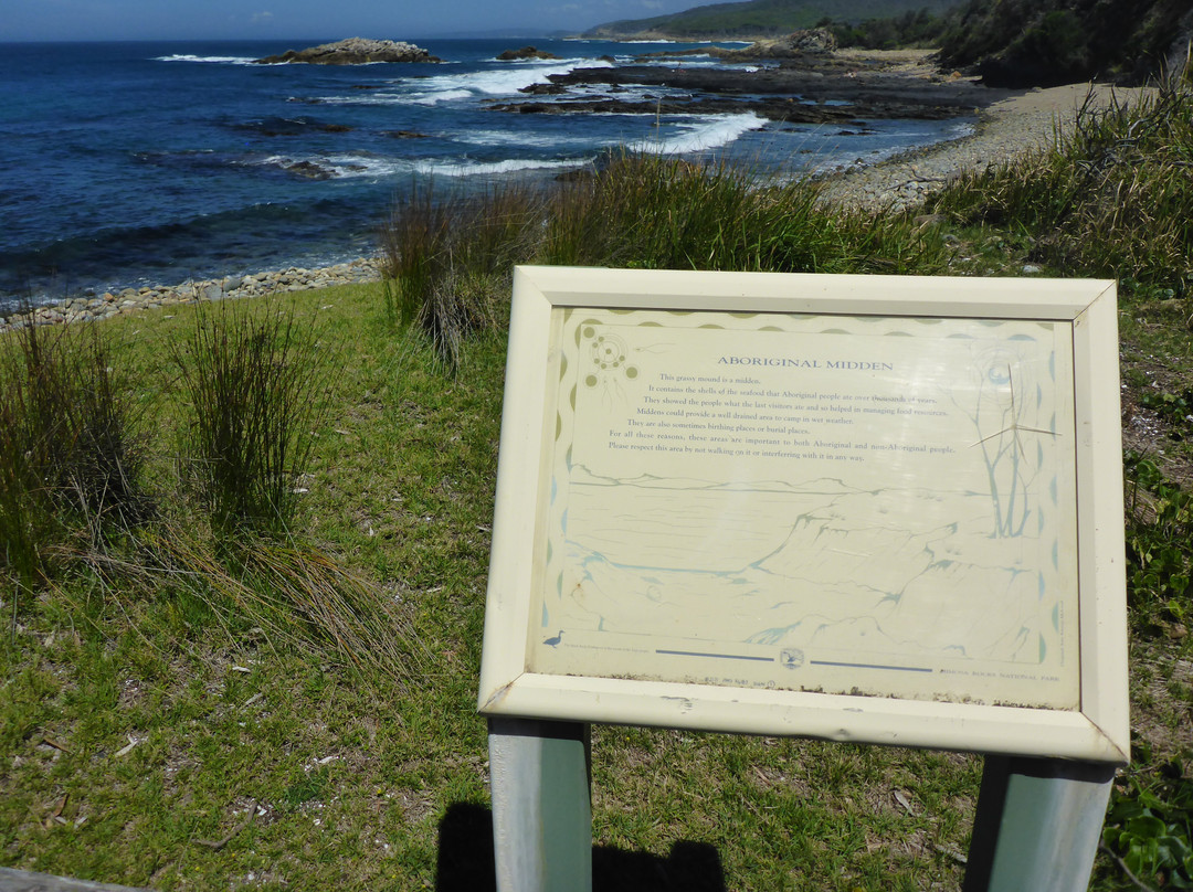 Mimosa Rocks National Park-Tanja必去景点