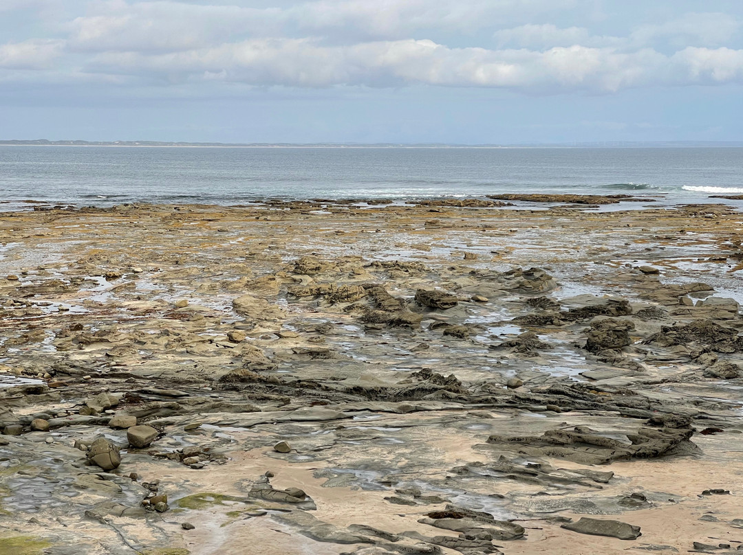 The Caves-Inverloch必去景点