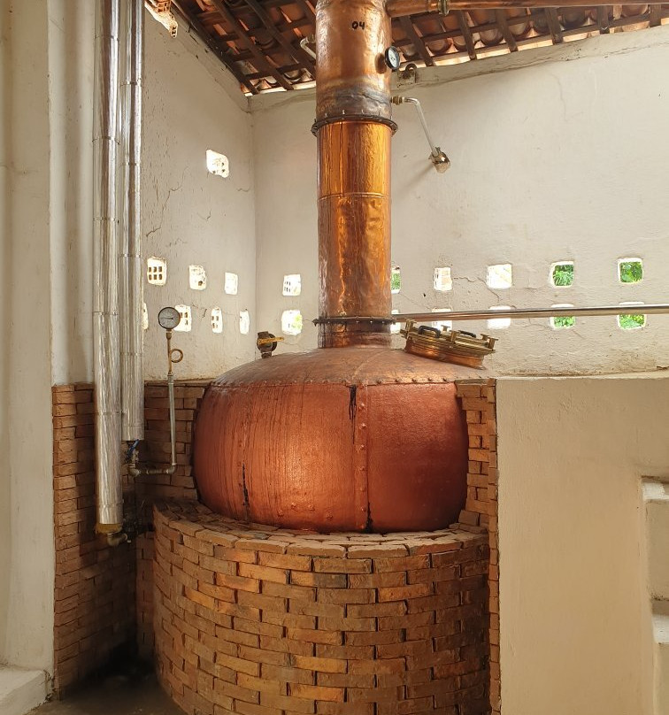 Engenho Goiamunduba-Bananeiras必去景点