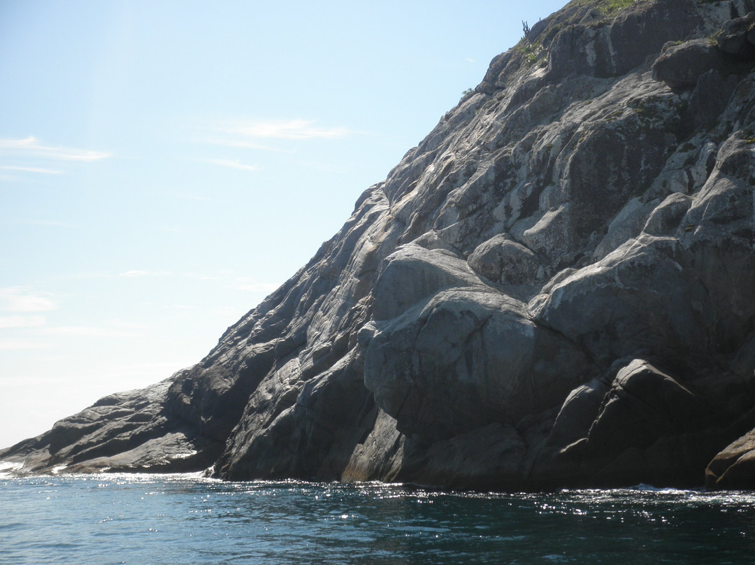 Pedra Perfil do Gorila-阿拉伊阿尔港必去景点