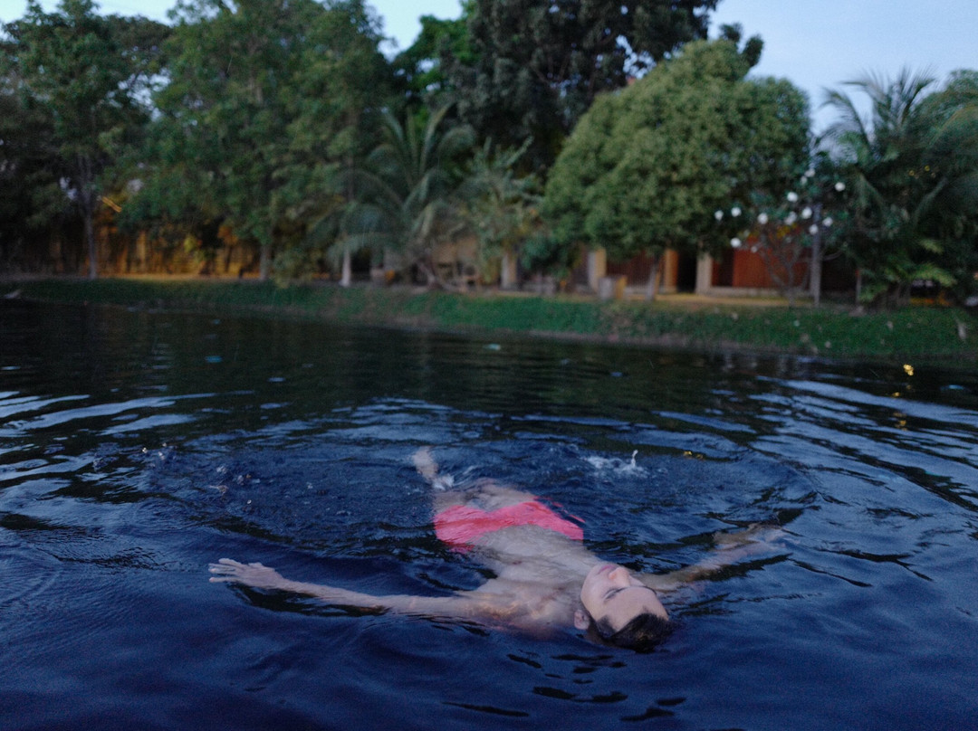 Into The Forest Resort主图