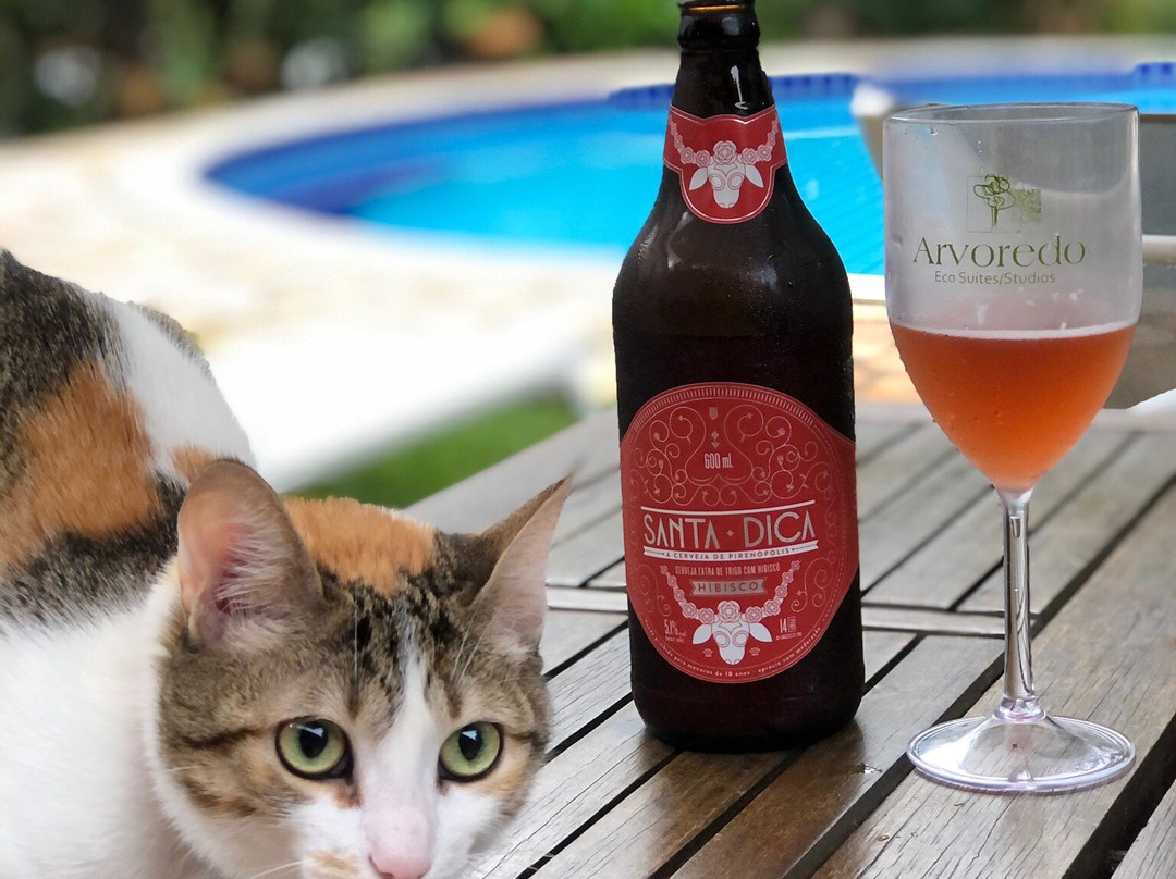 Pousada Arvoredo主图