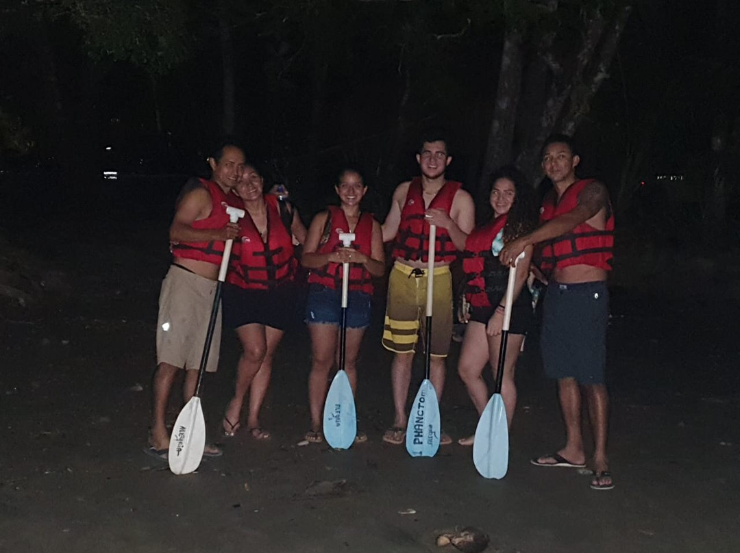 Eddy’s Bioluminescent Reserve景点图片