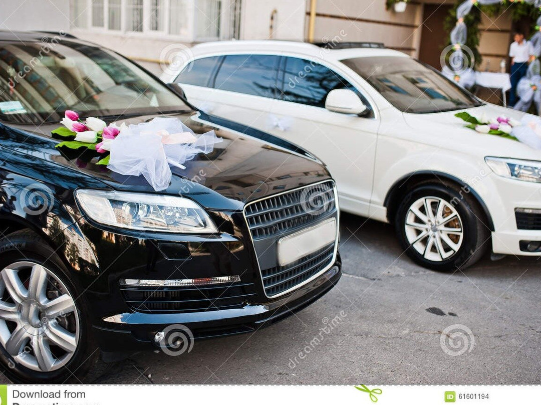 EDWARD Transportation-圣西蒙斯岛必去景点