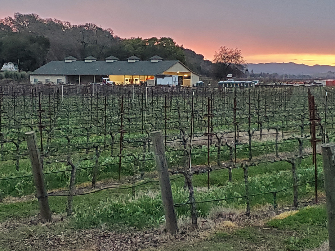 Delorimier Winery Vineyard Farmstay主图