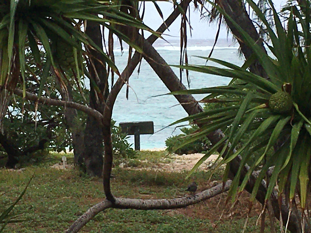 伊丽特女士岛度假村主图