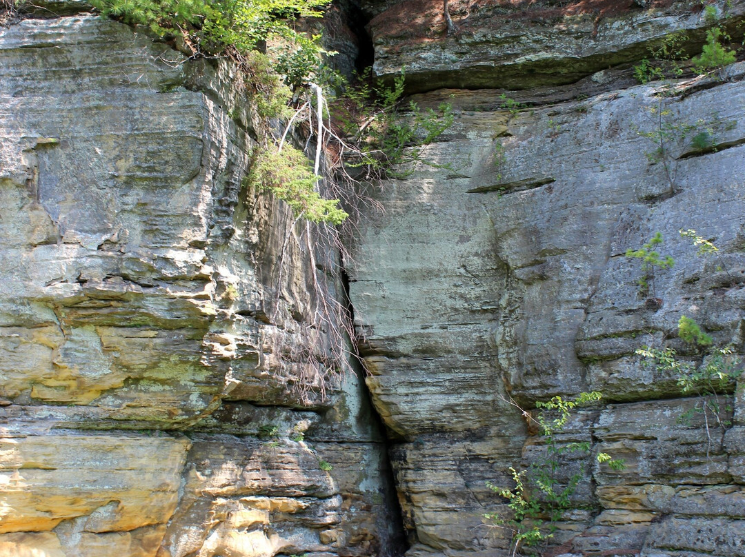 Pier Natural Bridge Park景点图片