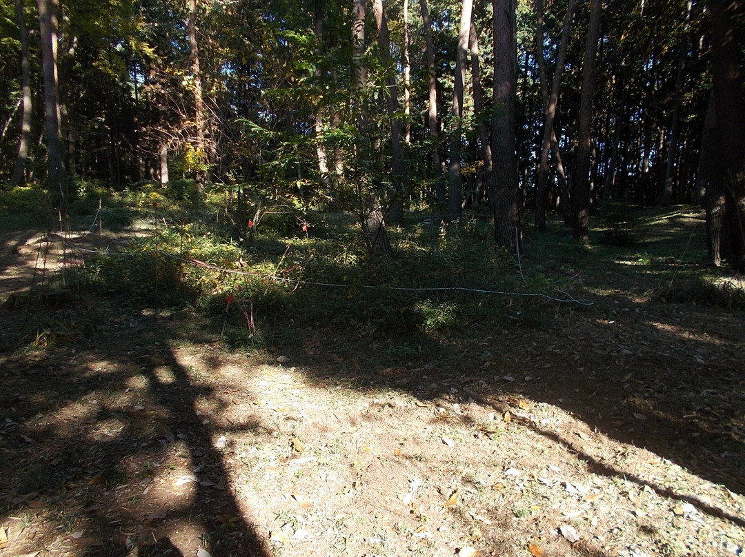 Katsunuma Castle Ruins-青梅市必去景点