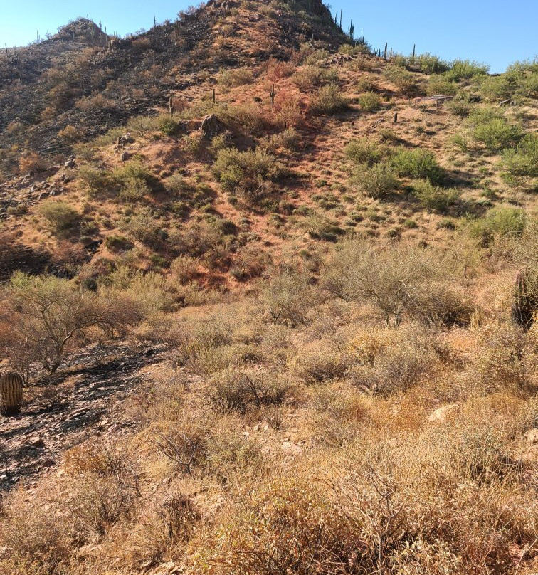Cave Creek Regional Park-洞溪必去景点