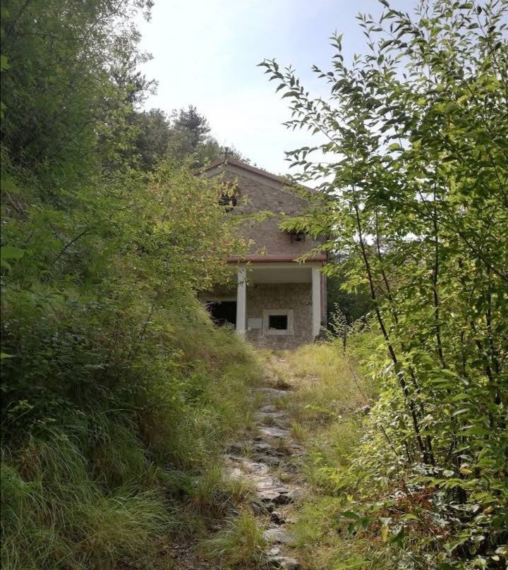 Santuario Madonna Del Bosco景点图片