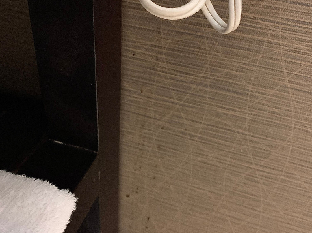 Holiday Inn Express & Suites West Chester, an IHG hotel主图