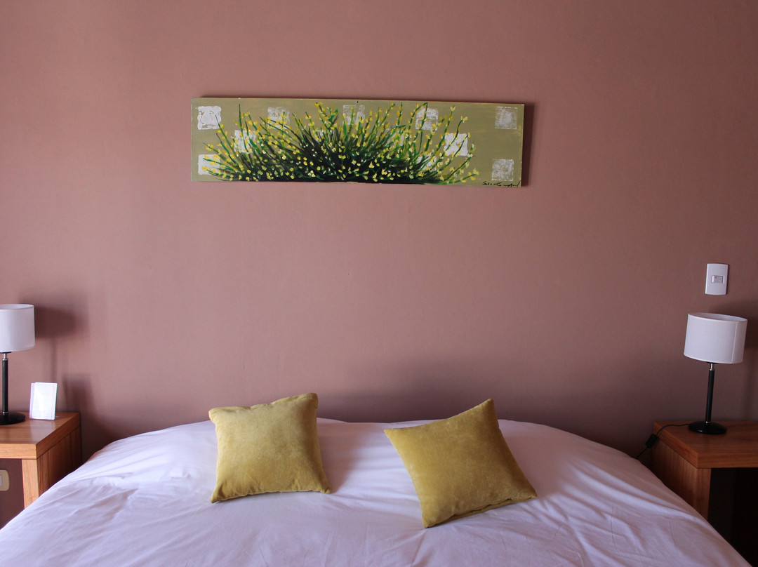 De Los Andes Hotel Boutique主图