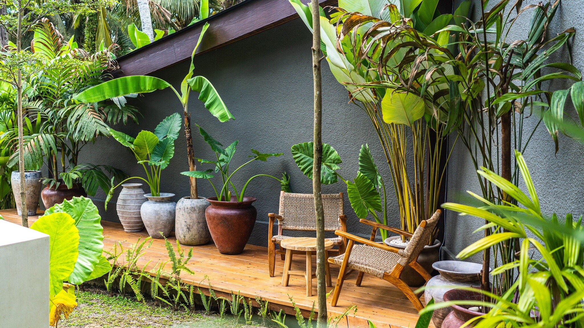 Casa Pohon Ubud-官方